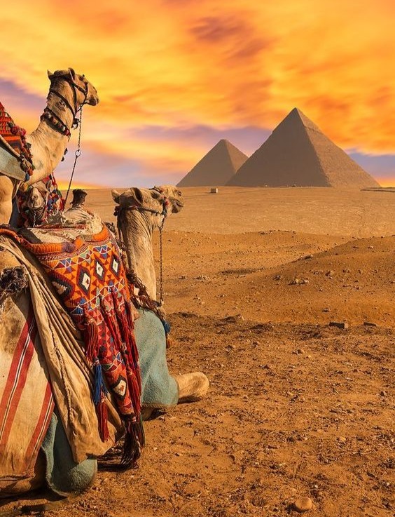 مصر